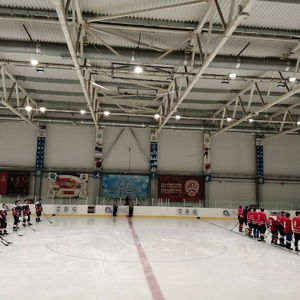 24 апреля завершились областные соревнования по хоккею среди муниципальных районов Самарской области