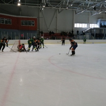 19 февраля завершились областные соревнования по хоккею среди муниципальных районов Самарской области
