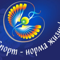 О проведении Регионального этапа Общероссийского соревновательного марафона по художественной гимнастике в формате Гимнастрады «Здоровые дети – здоровая Россия» в 2023 году